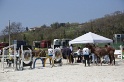 04 - Visite e foto Miste